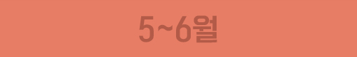 5-6��