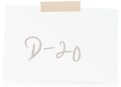 D-20